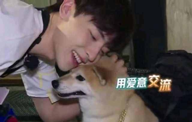  极限|来了来了，我真的最爱极限挑战的邓伦了