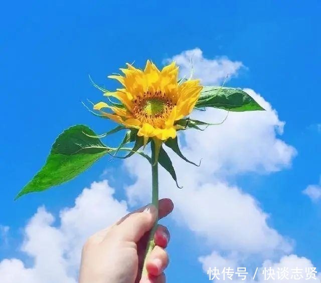  让自己|三观很正的短句，生活感悟！