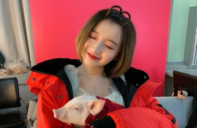  赵丽颖|中餐厅4嘉宾盘点，赵丽颖是锦上添花，李浩菲被网友吐槽不认识！