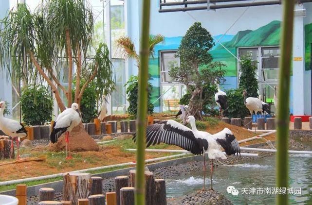  游乐|武清南湖十一攻略