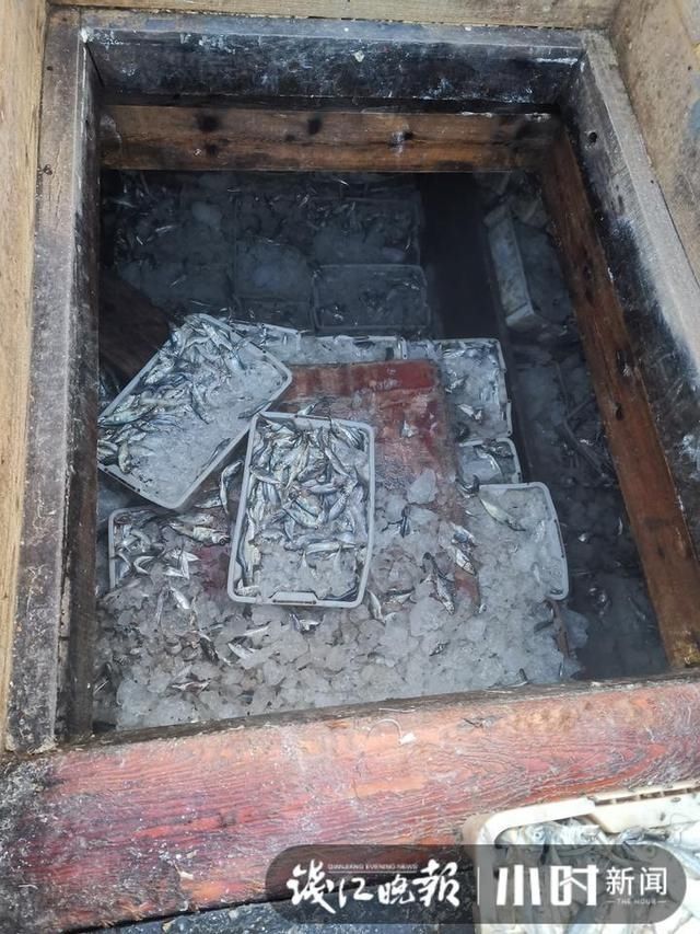  渔船|临近开渔，部分渔民偷偷出海捕捞，结果这艘渔船被动用了水炮