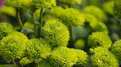  射手座|这几星座的女人，婚姻美满幸福，无论长的多不好，嫁的男人都不差