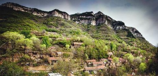  孩子|狗妈妈复仇记，孩子惨遭杀害，放弃投胎也要报今世之仇