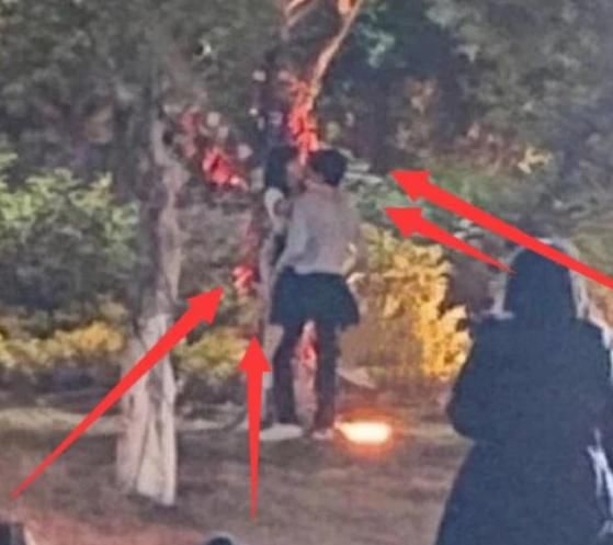 接吻|李尖尖和凌霄成神仙眷侣,两人接吻方式超甜,网友:导演快喊停