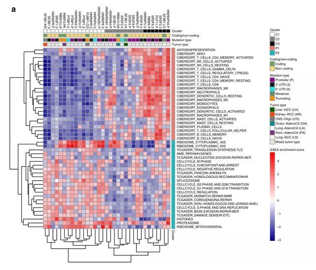  文章|2020年10分+纯生信文章带你领略Nature子刊之驱动突变文章套路