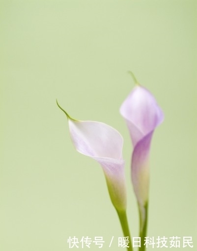 财源滚滚|从下周开始，将财源滚滚好运连连，生活幸福甜蜜的4大生肖