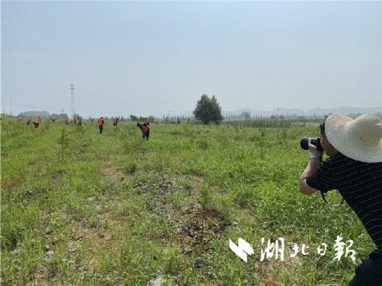 全媒|洪水不退，决不松劲！湖北日报全媒记者奋战在一线