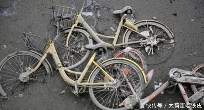 忐忑|共享单车忐忑的一生,心疼三秒钟,最后一张太惨了!