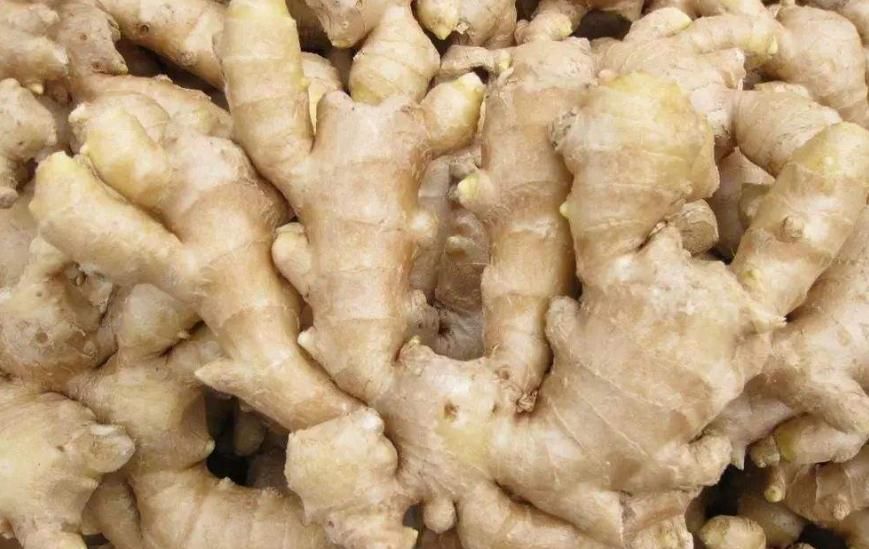  新鲜|生姜放久了会干瘪？教您4招，不干瘪不长芽，放一年都新鲜
