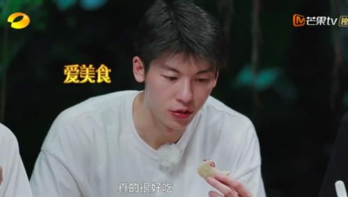  嘉宾|《向往》嘉宾效果大反转，许光汉砍柴割胶忙不赢，比彭昱畅还能吃