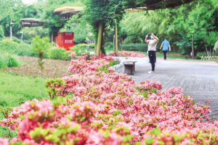 绿地|“口袋公园”扮靓日照城市微空间