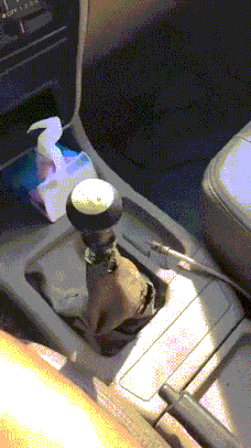 豪放|搞笑GIF:姑娘吃饭真豪放,这是在外面不是自己家哦