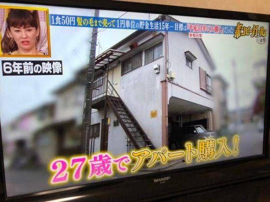  猫咪|只为开猫咪咖啡馆，女子日均开销不到15元，34岁前买下3栋楼！