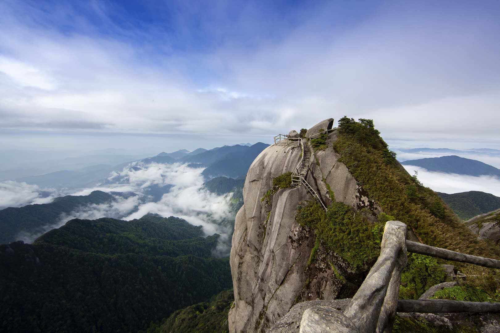 猫儿山国家级自然保|多措并举抓保护珍稀动物频现“华南之巅”