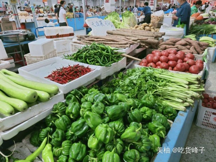  区别|同样是青椒，激素和普通青椒有啥区别？卖菜大爷透露其中猫腻