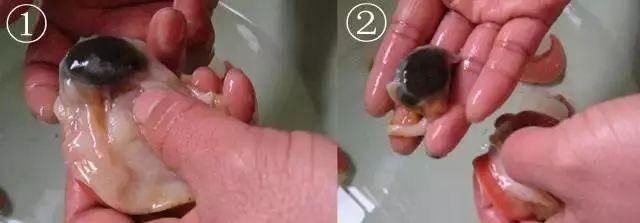 大鱼|青岛海鲜市场现一米多长大鱼！很多老青岛都不认识……