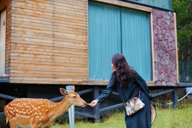 自驾游|一份颠覆你对内蒙传统印象的自驾游攻略,原来内蒙的美远不止草原