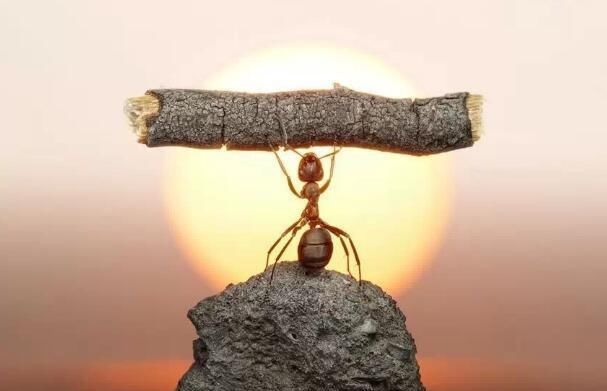  至高境界|十二星座中，有哪几个星座，是最喜欢抬杠的“杠精”？