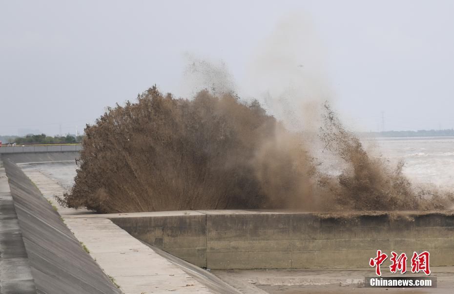  奔涌|钱塘江大潮巨浪奔涌 场面壮观