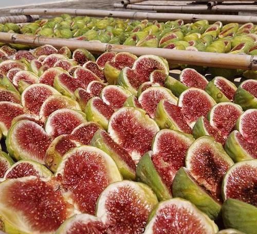 建议|建议中老年人少吃瓜子花生,多吃下面几物,好吃不贵又健康