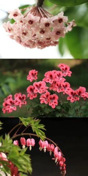  夏天|【津评乐】遇见夏天，醉美卜庄