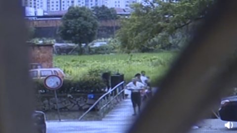  男童|浙江一男童滑落河中 九旬大爷出手了