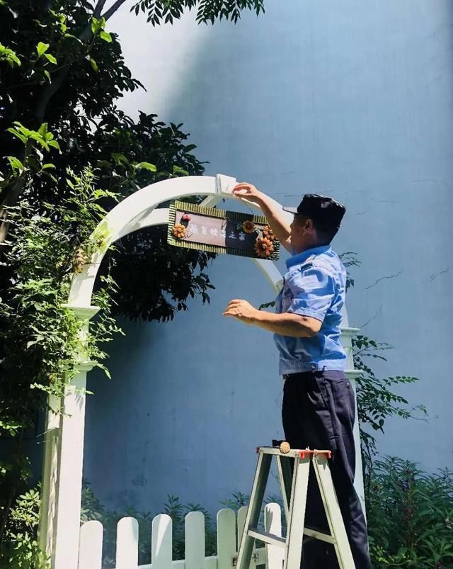  种植园|「园所动态」“我为种植园取名字”——诺亚舟和庄幼儿园