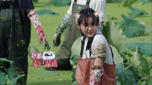  张子枫|只有怼脸拍，才知道张子枫有多精致！彭昱畅表示退出群聊！