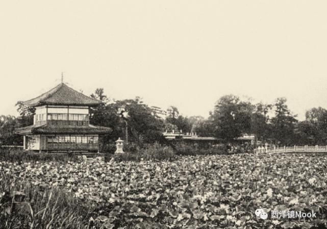  院子|111年前的北京动物园旧影