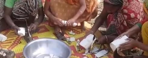 芋头|印度农村特色美食,长的比人高,重上百斤,大开眼界了