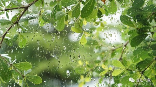 它地区多云|雨又双叒叕来！黑龙江这些地区有暴雨