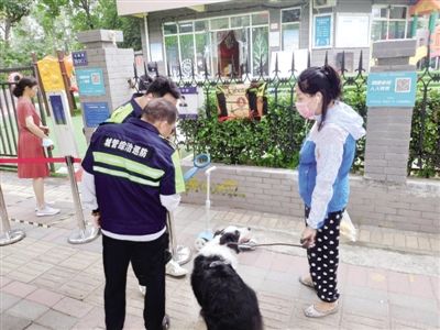 规范|加强养犬管理 规范养犬行为