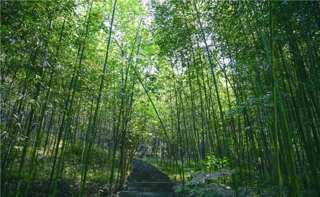 风景|湖北最低调景区，位于襄阳，名气比不过古隆中，但是风景毫不逊色
