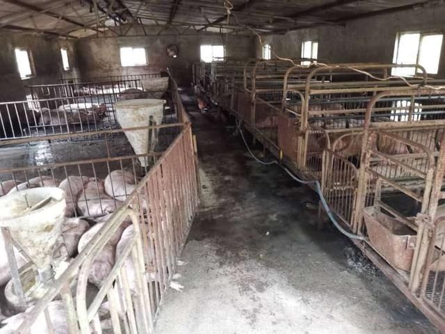  半岛记者|悲剧！平度母子俩触电身亡 儿子刚刚20岁还没拿到毕业证