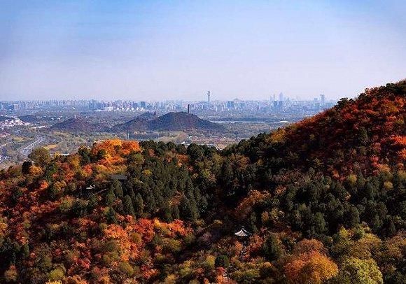  山壹號院|建筑档案对话张晓晓：当代住区的文化回溯与思辨