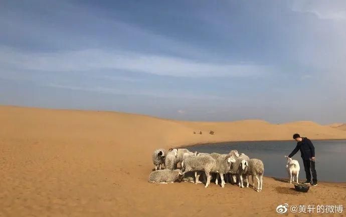  打算|资生堂这是打算和黄轩同归于尽？？？