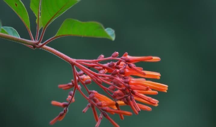  高涨|7月开始财气大旺，好事连连，贵人指路，收入高涨的四大生肖