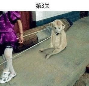 回复|“头盔上为什么要加个网哈哈哈哈哈看到回复差点笑到窒息”