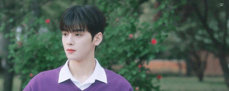  脸蛋|车银优为什么叫脸蛋天才