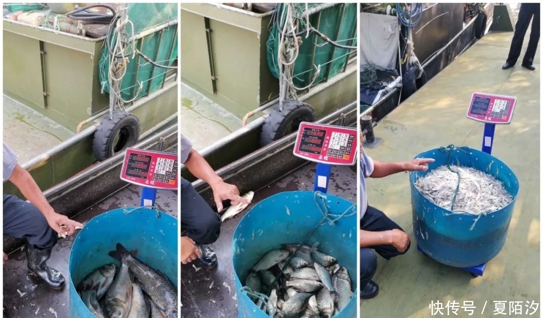 保护区|太湖捕鱼！这6个人被采取刑事强制措施！