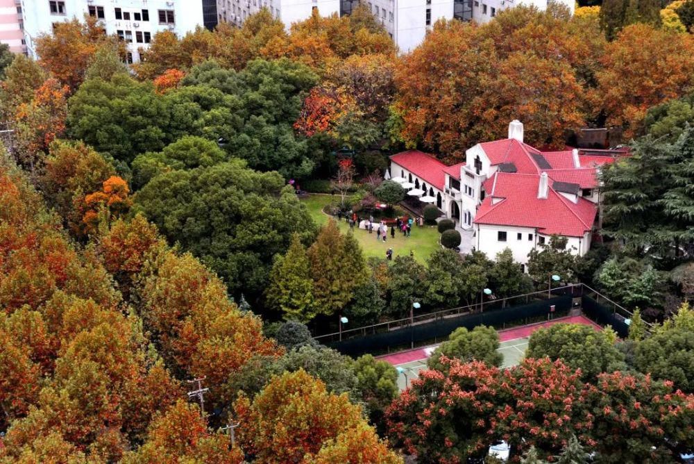 跟着|来衡复“音乐街区”，跟着“歌剧大叔”听懂女高音！