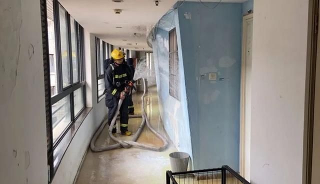  肇事者|密室燃气事故，肇事者居然是“犯二”的它们