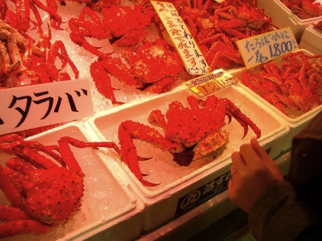 螃蟹|去日本哪里能吃上最好的日本蟹?