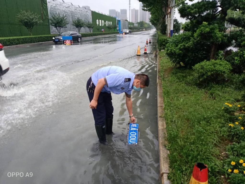  积水|积水中捡到车牌 排除积水后不忘归还车主