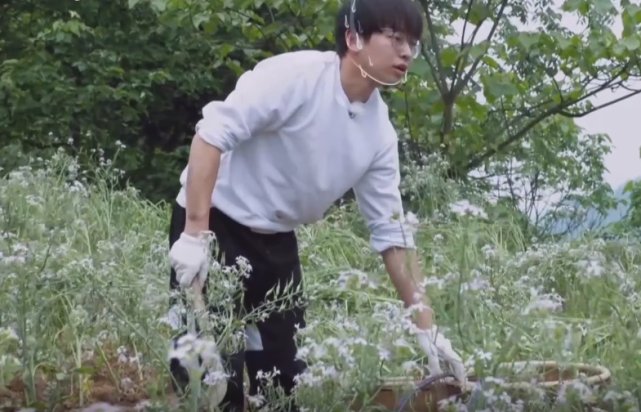  农活|《向往》最累的人不是黄磊！未播花絮道出原因，才知道农活全让他干了！