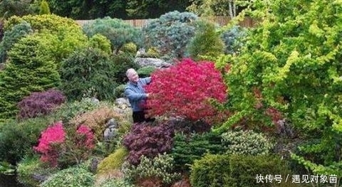 年来|英国老人退休后,把一生所爱献给这片荒地,25年来从不停歇