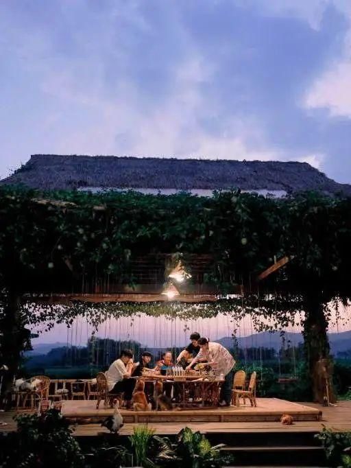  向往|向往的生活收官，还有哪些综艺能够让人再多吃一碗饭呢？