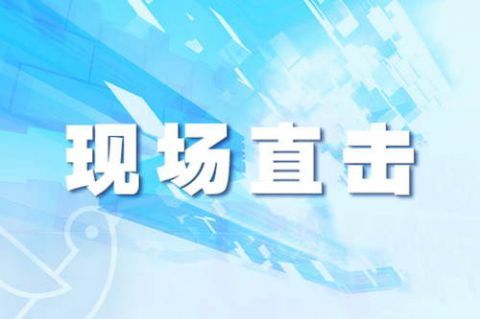  砸伤|六旬老人雨后散步 “天降”两米树枝砸伤头