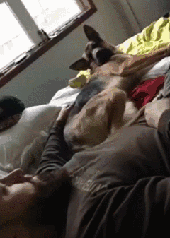 老板|搞笑GIF:老板,咱们这里有一个员工正在使用外挂,要不要把他辞退了