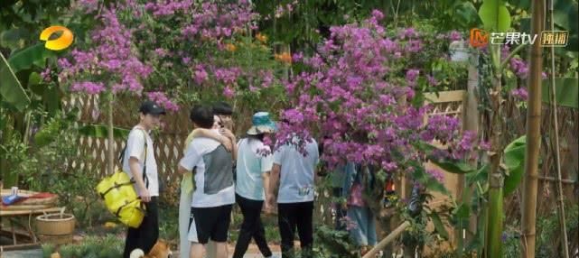  真的|周迅吃2碗饭不怕胖，宋威龙助薇娅卖水果，半小时卖570万元真的吗